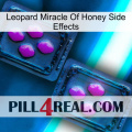 Leopard Miracle Of Honey Side Effects 03